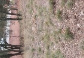 Land suitable for development for sale on Carrer de l'Oreneta, Caldes de Montbui, ref: TR68688 photo