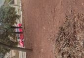 Land suitable for development for sale on Carrer de l'Oreneta, Caldes de Montbui, ref: TR68688 photo