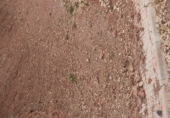 Land suitable for development for sale on Carrer de l'Oreneta, Caldes de Montbui, ref: TR68688 photo