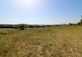Non-developable land for sale on Diseminado, Manacor, ref: TR68704 photo