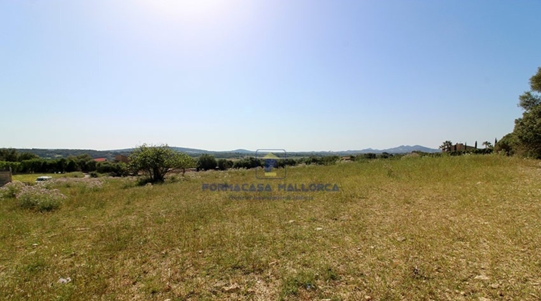 Islas Baleares - Manacor - 15134m2