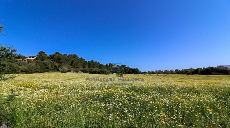 Islas Baleares - Manacor - 15134m2