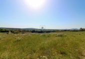 Non-developable land for sale on Diseminado, Manacor, ref: TR68704 photo