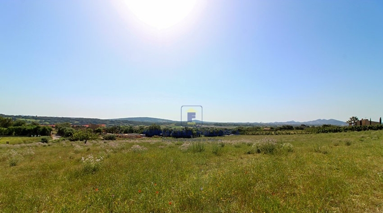 Islas Baleares - Manacor - 15134m2