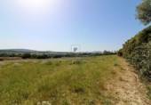 Non-developable land for sale on Diseminado, Manacor, ref: TR68704 photo