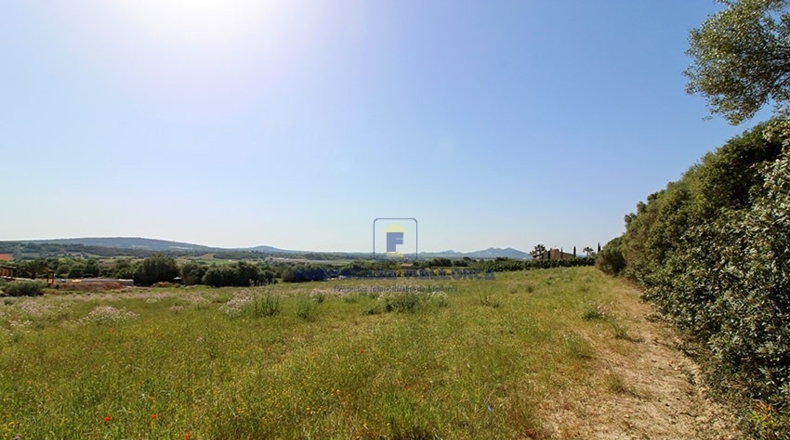 Islas Baleares - Manacor - 15134m2