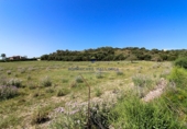 Non-developable land for sale on Diseminado, Manacor, ref: TR68704 photo