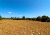 Terreny no urbanitzable en venda a la Diseminado, Manacor, ref.: TR68703 foto