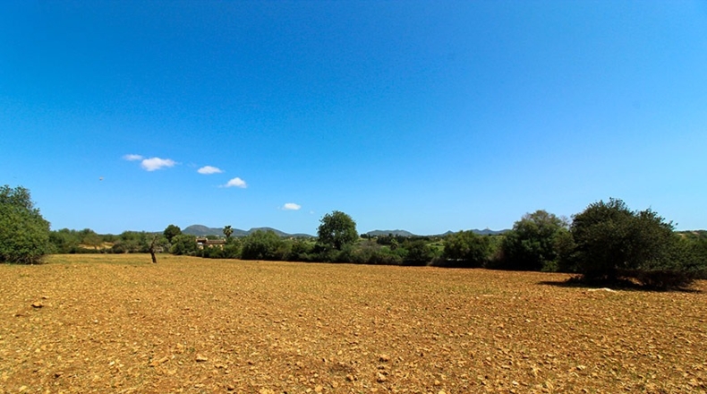 Islas Baleares - Manacor - 14504m2