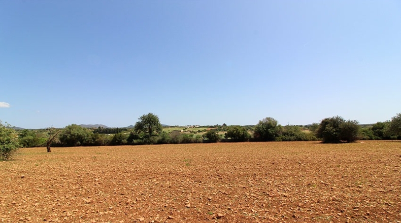 Islas Baleares - Manacor - 14504m2