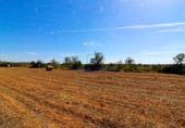 Land suitable for development for sale on Diseminado, Ses Salines, ref: TR68702 photo