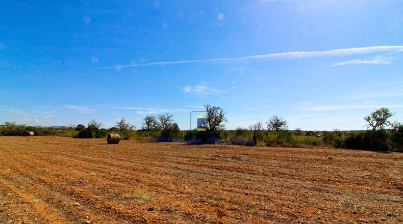 Islas Baleares - Las Salinas - 16990m2