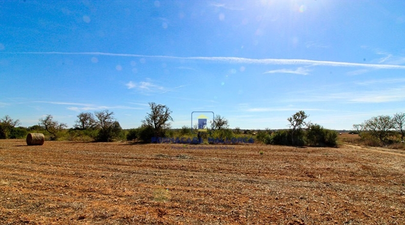 Islas Baleares - Las Salinas - 16990m2