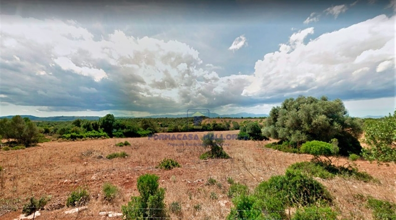 Islas Baleares - Manacor - 45825m2