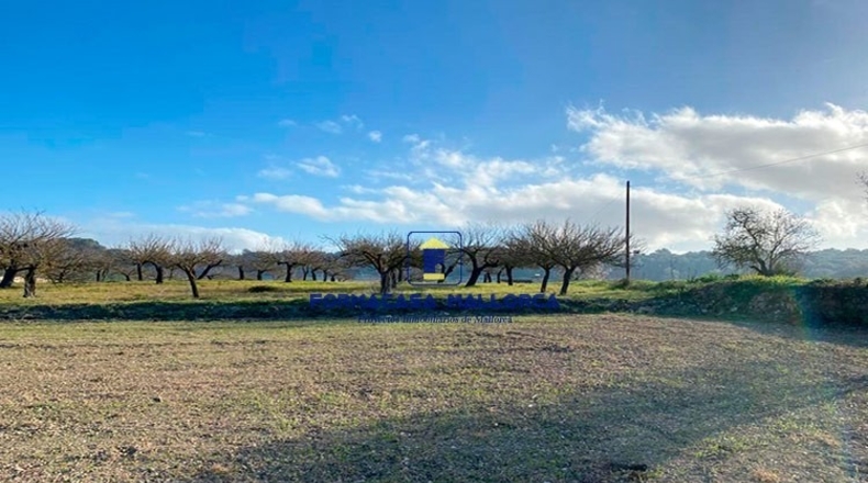 Islas Baleares - Porreras - 31910m2