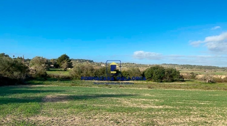 Islas Baleares - Porreras - 31910m2
