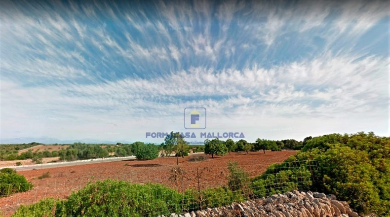 Islas Baleares - Manacor - 31190m2