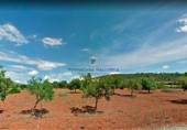 Non-developable land for sale on Diseminado, Manacor, ref: TR68698 photo