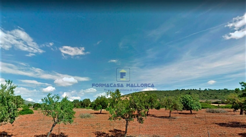 Islas Baleares - Manacor - 31190m2