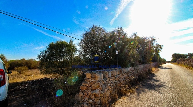 Islas Baleares - Santañy - 15735m2
