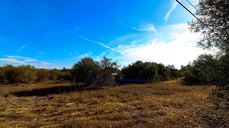 Islas Baleares - Santañy - 15735m2