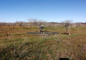 Parcela urbanizable en venta en la Diseminado, Felanitx, ref: TR68696 foto