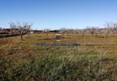 Parcela urbanizable en venta en la Diseminado, Felanitx, ref: TR68696 foto