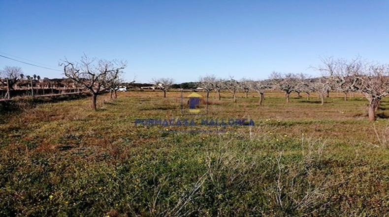 Islas Baleares - Felanitx - 24600m2