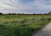Parcela urbanizable en venta en la Diseminado, Felanitx, ref: TR68710 foto