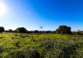 Parcel·la urbanitzable en venda a la Diseminado, Santanyí, ref.: TR68709 foto