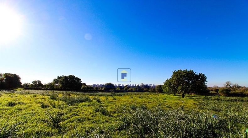 Islas Baleares - Santañy - 18300m2