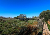 Parcel·la urbanitzable en venda a la Diseminado, Santanyí, ref.: TR68709 foto