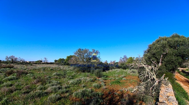 Islas Baleares - Santañy - 18300m2