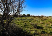 Parcel·la urbanitzable en venda a la Diseminado, Santanyí, ref.: TR68709 foto