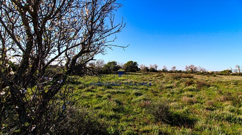 Islas Baleares - Santañy - 18300m2