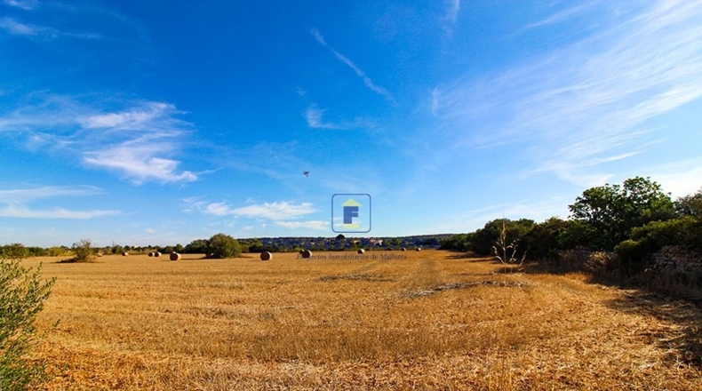 Islas Baleares - Las Salinas - 21085m2