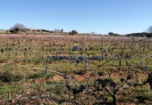 Parcel·la urbanitzable en venda a la Diseminado, Felanitx, ref.: TR68707 foto