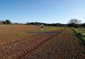 Parcel·la urbanitzable en venda a la Diseminado, Felanitx, ref.: TR68707 foto