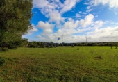Land suitable for development for sale on Diseminado, Ses Salines, ref: TR68706 photo