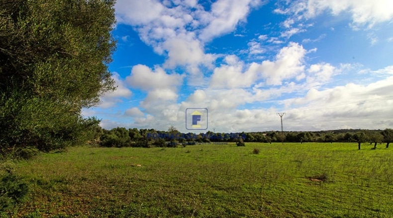 Islas Baleares - Las Salinas - 25650m2
