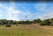 Land suitable for development for sale on Diseminado, Ses Salines, ref: TR68705 photo
