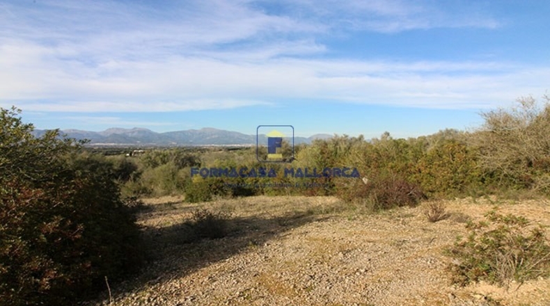 Islas Baleares - Costitx - 61900m2