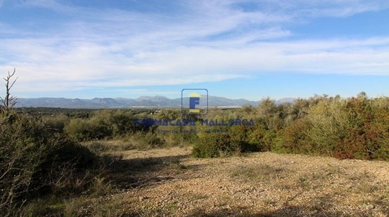 Islas Baleares - Costitx - 61900m2