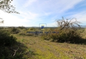 Parcela urbanizable en venta en la Diseminado, Costitx, ref: TR69029 foto