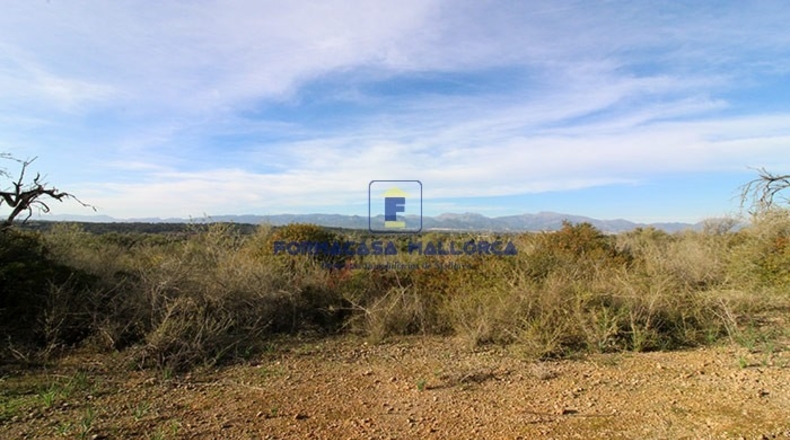 Islas Baleares - Costitx - 61900m2