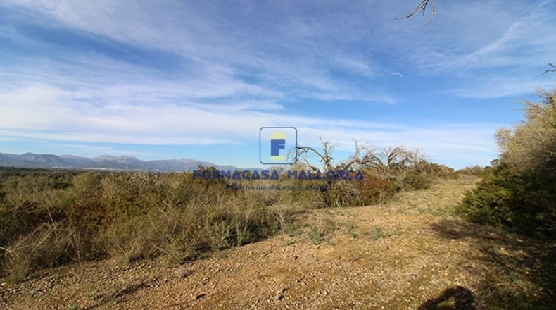 Islas Baleares - Costitx - 61900m2