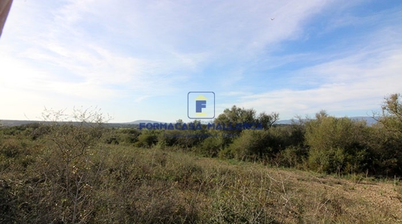 Islas Baleares - Costitx - 61900m2