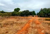 Земельный участок на продажу в городе Algaida Фото
