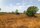 Land suitable for development for sale on Diseminado, Santanyí, ref: TR69028 photo