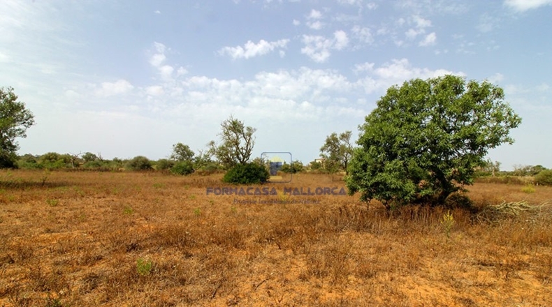Islas Baleares - Santañy - 17650m2